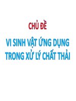 vi sinh vật ứng dụng trong xử lý chất thải 