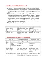 cơ sở văn hóa việt nam   nghệ thuật thanh sắc và hình khối 