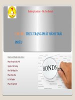 Thực trạng phát hành trái phiếu