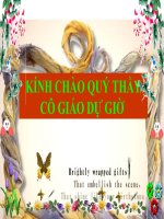 Bài 64. Trao đổi chất ở động vật