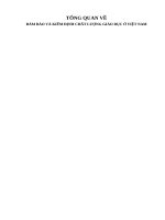 tổng quan về đảm bảo và kiểm định chất lượng giáo dục ở việt nam 