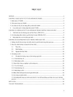 Phân tích các biện pháp điều chỉnh các tỷ giá hối đoái của việt nam trong thời gian 2008 2013  theo bạn trong các biện pháp trên, biện pháp nào là hiệu quả nhất, vì sao  đề xuất giải pháp của nhóm trong thời gian tới 