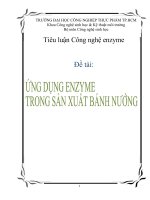ứng dụng enzyme trong sản xuất bánh nướng 