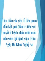 Tìm hiểu các yếu tố liên quan đến kết quả điều trị tiêu sợi huyết ở bệnh nhân nhồi máu não sớm tại bệnh viện  hữu nghị đa khoa nghệ an 