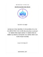 Đánh giá tăng trưởng và tỷ lệ sống của các gia đình tôm càng xanh (macrobrachium rosenbergii) từ nhóm tôm chọn giống và nhóm tôm tự nhiên tại trung tâm quốc gia giống thủy sản nước ngọt nam bộ 