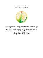 Tình trạng hiếp dâm trẻ em ở nông thôn việt nam 