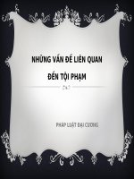 những vấn đề liên quan đến tội phạm 