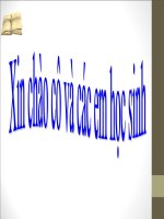 Bài 47. Ánh sáng cần cho sự sống