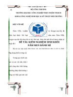 kiểm nghiệm sinh khối nấm men bánh mì 