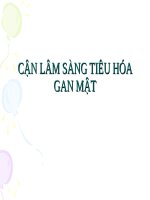CẬN lâm SÀNG TIÊU hóa GAN mật 