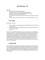 chủ đề hệ sinh dục nữ