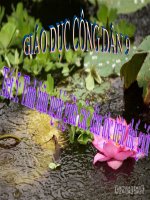 Bài 5. Tình hữu nghị giữa các dân tộc trên thế giới