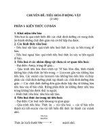 CHUYÊN đề TIÊU hóa ở ĐỘNG vật