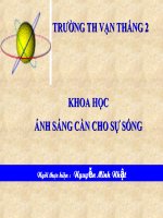 Bài 47. Ánh sáng cần cho sự sống