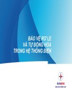 bảo vệ rơ le và tự động hóa trong hệ thống điện 
