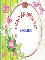 Bài 7. Từ tuổi vị thành niên đến tuổi già