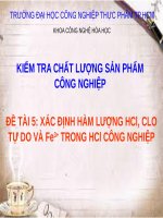 xác định hàm lượng hcl, clo tự do và fe3+ trong hcl công nghiệp 