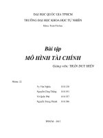 bài tập mô hình tài chính 1 