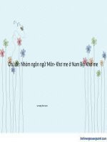 dân tộc và các chính sách dân tộc(dân tộc thái chăm)
