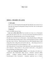 công nghệ cao su quy trình sản xuất mút xốp 