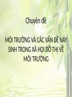 môi trường và các vấn đề nảy sinh trong xã hội đô thị về môi trường 