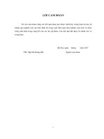 Nghiên cứu chế tạo và tính chất quang của vật liệu HA, HAF, βTCP, βTCPSr pha tạp Eu, Er, Dy và Mn (Luận án tiến sĩ)