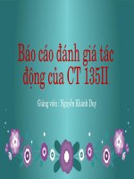 Báo cáo đánh giá tác động của CT 135II 