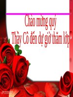 Tuần 12. Hạnh phúc của một tang gia