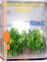 NUÔI cấy mô tế bào THỰC vật THÀNH tựu 