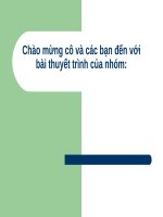 tìm hiểu về văn phòng điện tử, thư điện tử, google drive 
