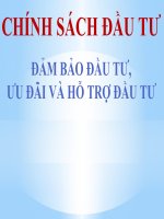 đảm bảo đầu tư, ưu đãi và hỗ trợ đầu tư 