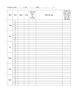 Mẫu phân phối chương trình THCS