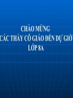 Bài 8. Chiếc lá cuối cùng