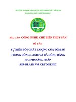 sự biến đổi chất lượng của tôm sú trong đông lạnh và rã đông bằng hai phương pháp air blash và cryogenic 