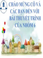 mô hình đào tạo kiến thức hôn nhân và gia đình 
