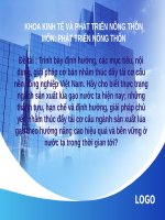 Trình bày định hướng, các mục tiêu, nội dung, giải pháp cơ bản nhằm thúc đẩy tái cơ cấu nền nông nghiệp việt nam  hãy cho biết thực trạng ngành sản xuất lúa gạo nước ta hiện nay; những thành tựu, hạn chế và định hướng, giả 
