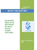 rủi ro biến động tỷ giá đối với đầu ra trong doanh nghiệp xuất khẩu 