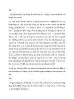 những bài văn miêu tả về cây bàng hay nhất
