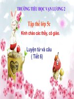 Tuần 1-2-3. Luyện tập về từ đồng nghĩa