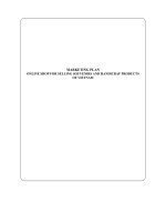 Kế hoạch marketing của hàng trực tuyến bán đồ lưu niệm và sản phẩm thủ công của việt nam eng 
