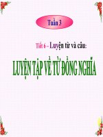 Tuần 1-2-3. Luyện tập về từ đồng nghĩa