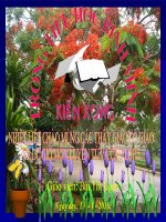 Tuần 20-21-22-23. Nối các vế câu ghép bằng quan hệ từ