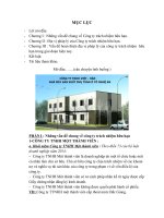 Vấn đề hoàn thiện địa vị pháp lý của công ty trách nhiệm  hữu hạn trong giai đoạn hiện nay  