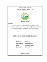 Thực hiện quy trình chăn nuôi lợn nái và phương pháp phòng, trị một số bênh thường gặp ở lợn nái nuôi tại Công ty Phát Đạt - Phúc Yên - Vĩnh Phúc