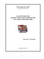 GIÁO TRÌNH học PHẦN LỊCH sử VIỆT NAM cổ TRUNG đại (từ NGUỒN gốc đến 1858) 