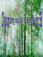 Tuần 1-2-3. Luyện tập về từ đồng nghĩa