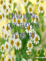 Bài 13. Em tìm hiểu về Liên hợp quốc