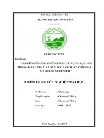 Nghiên cứu ảnh hưởng việc sử dụng gạo lức trong khẩu phần ăn đến sức sản xuất thịt của gà ri lai nuôi nhốt 