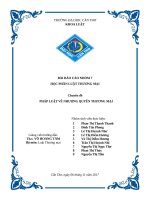 bài word luật thương mại chính thức