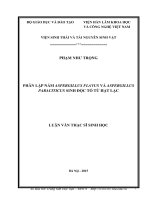 Phân lập nấm Aspergillus flavus và Aspergillus paraciticus sinh độc tố từ hạt lạc